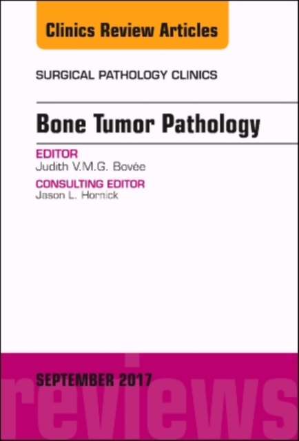 Bone Tumor Pathology, An Issue of Surgical Pathology Clinics : Volume 10-3, Hardback Book