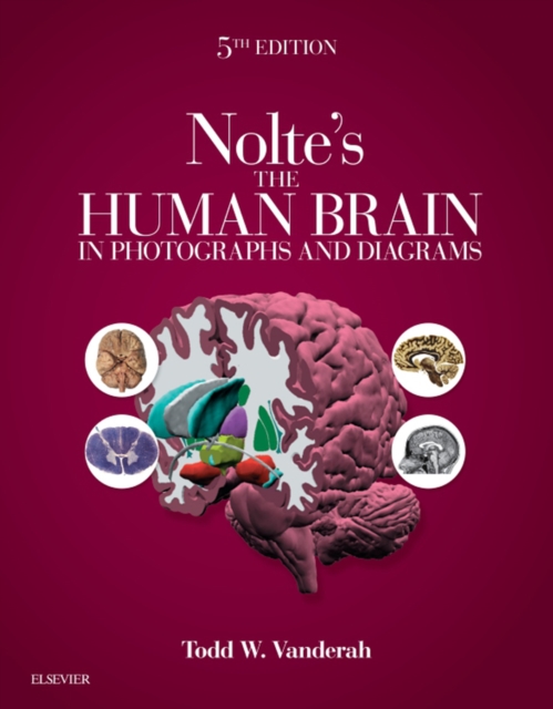 Nolte's The Human Brain in Photographs and Diagrams : Nolte's The Human Brain in Photographs and Diagrams E-Book, EPUB eBook