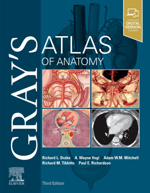 Gray's Atlas of Anatomy, Paperback / softback Book
