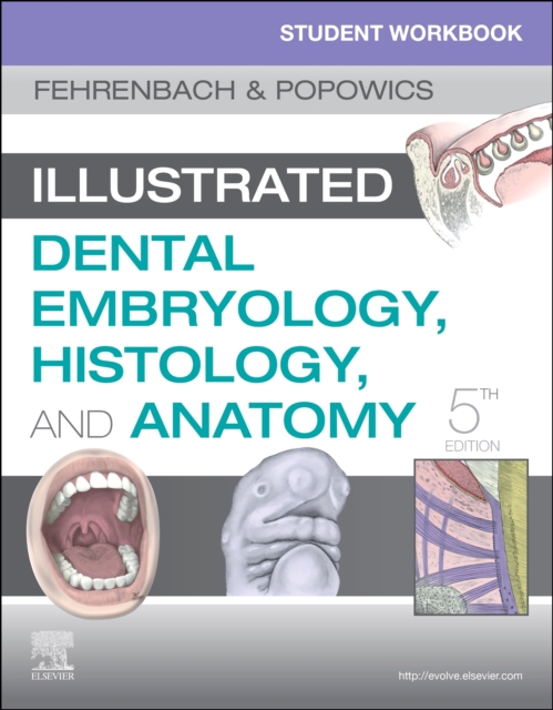 Student Workbook for Illustrated Dental Embryology, Histology and Anatomy, Paperback / softback Book
