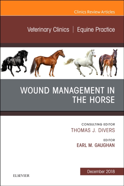 Wound Management in the Horse, An Issue of Veterinary Clinics of North America: Equine Practice : Volume 34-3, Hardback Book