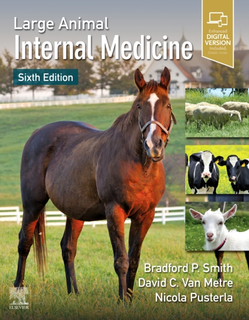 Large Animal Internal Medicine, Hardback Book
