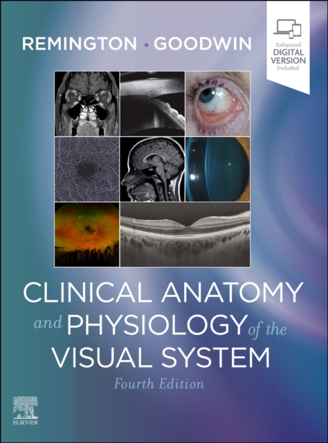 Clinical Anatomy and Physiology of the Visual System, Hardback Book