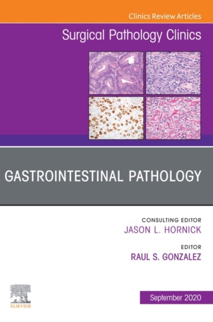 Gastrointestinal Pathology, An Issue of Surgical Pathology Clinics, E-Book : Gastrointestinal Pathology, An Issue of Surgical Pathology Clinics, E-Book, EPUB eBook