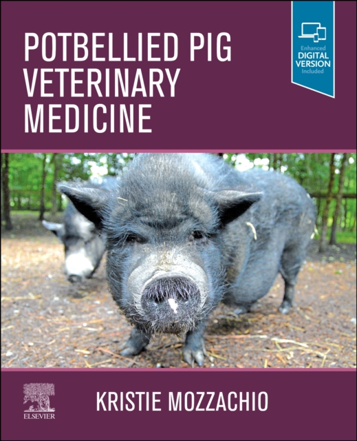 Potbellied Pig Veterinary Medicine, Paperback / softback Book
