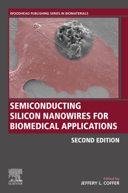 Semiconducting Silicon Nanowires for Biomedical Applications, EPUB eBook