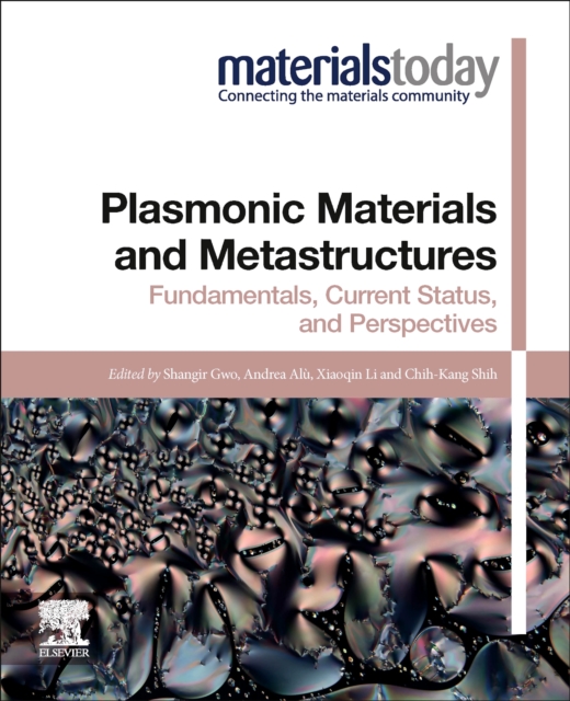 Plasmonic Materials and Metastructures : Fundamentals, Current Status, and Perspectives, Paperback / softback Book