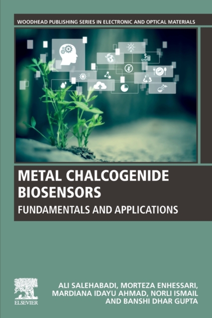 Metal Chalcogenide Biosensors : Fundamentals and Applications, Paperback / softback Book