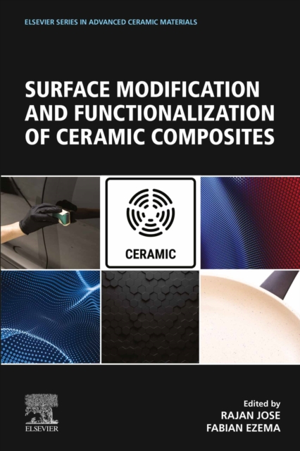 Surface Modification and Functionalization of Ceramic Composites, EPUB eBook