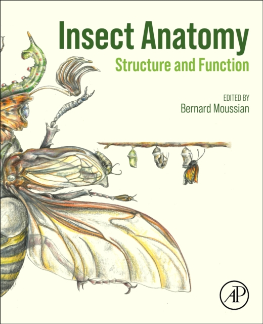 Insect Anatomy : Structure and Function, Paperback / softback Book
