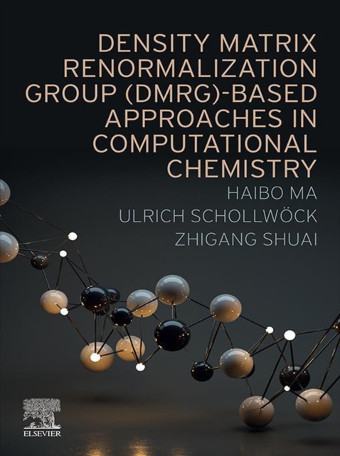 Density Matrix Renormalization Group (DMRG)-based Approaches in Computational Chemistry, EPUB eBook
