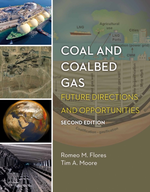 Coal and Coalbed Gas : Future Directions and Opportunities, EPUB eBook