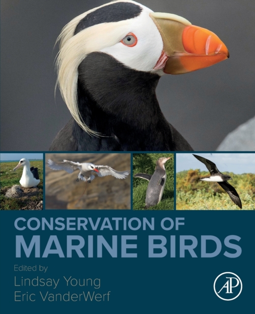 Conservation of Marine Birds, Paperback / softback Book