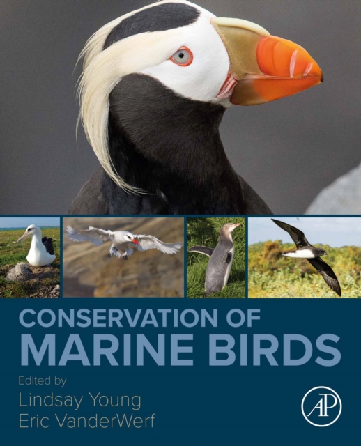 Conservation of Marine Birds, EPUB eBook