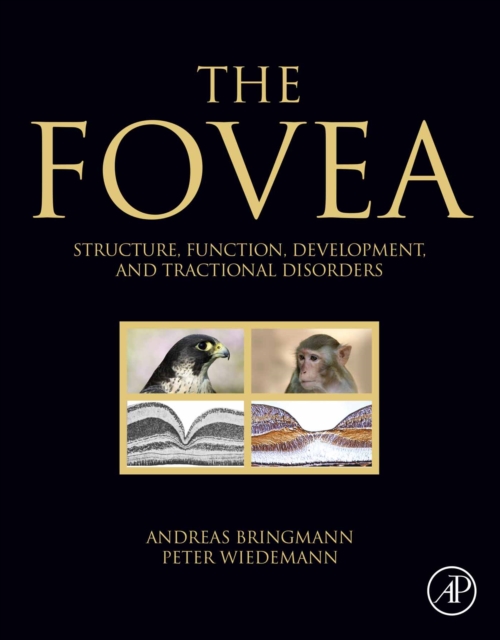 The Fovea : Structure, Function, Development, and Tractional Disorders, EPUB eBook
