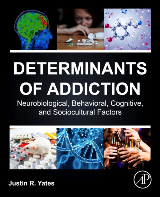 Determinants of Addiction : Neurobiological, Behavioral, Cognitive, and Sociocultural Factors, Paperback / softback Book
