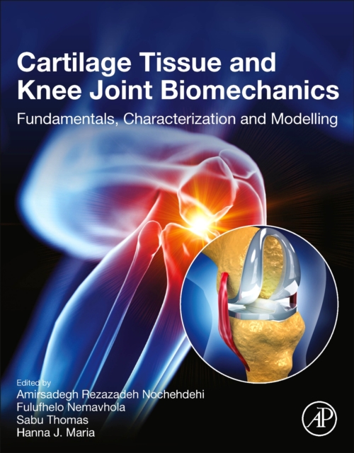 Cartilage Tissue and Knee Joint Biomechanics : Fundamentals, Characterization and Modelling, Paperback / softback Book