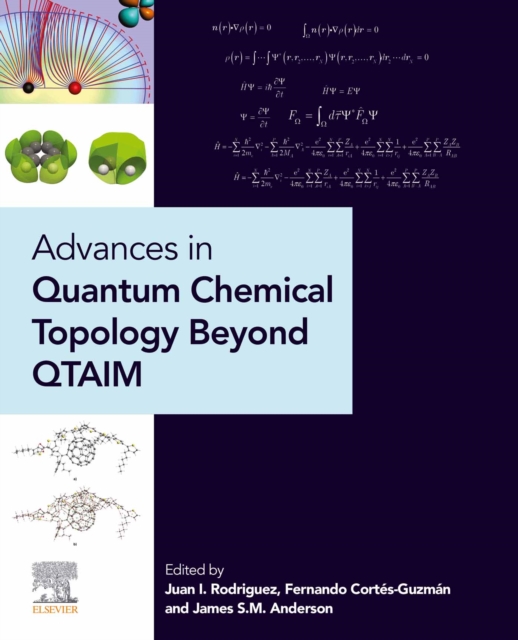 Advances in Quantum Chemical Topology Beyond QTAIM, EPUB eBook