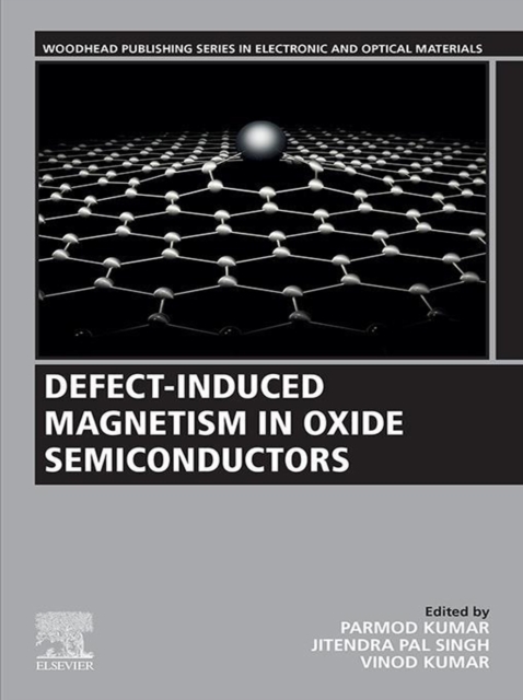 Defect-Induced Magnetism in Oxide Semiconductors, EPUB eBook