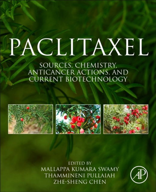 Paclitaxel : Sources, Chemistry, Anticancer Actions, and Current Biotechnology, Paperback / softback Book