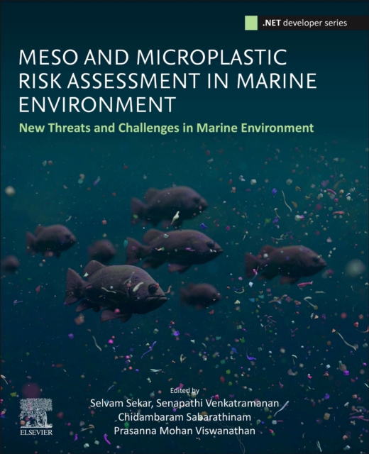Meso- and Microplastic Risk Assessment in Marine Environments : New Threats and Challenges, Paperback / softback Book