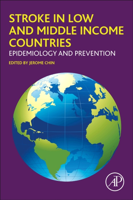 Stroke in Low and Middle Income Countries : Epidemiology and Prevention, Paperback / softback Book