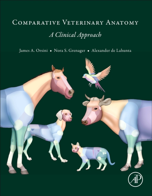 Comparative Veterinary Anatomy : A Clinical Approach, Hardback Book