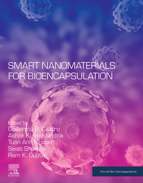 Smart Nanomaterials for Bioencapsulation, EPUB eBook