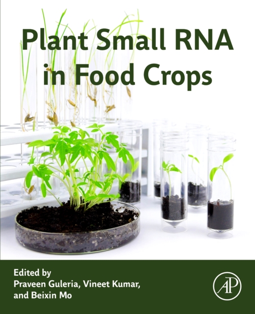 Plant Small RNA in Food Crops, Paperback / softback Book