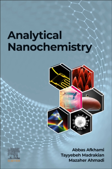 Analytical Nanochemistry, Paperback / softback Book