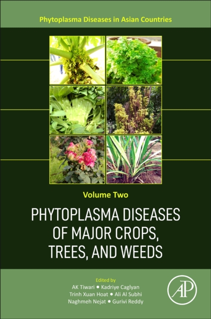 Phytoplasma Diseases of Major Crops, Trees, and Weeds, Paperback / softback Book