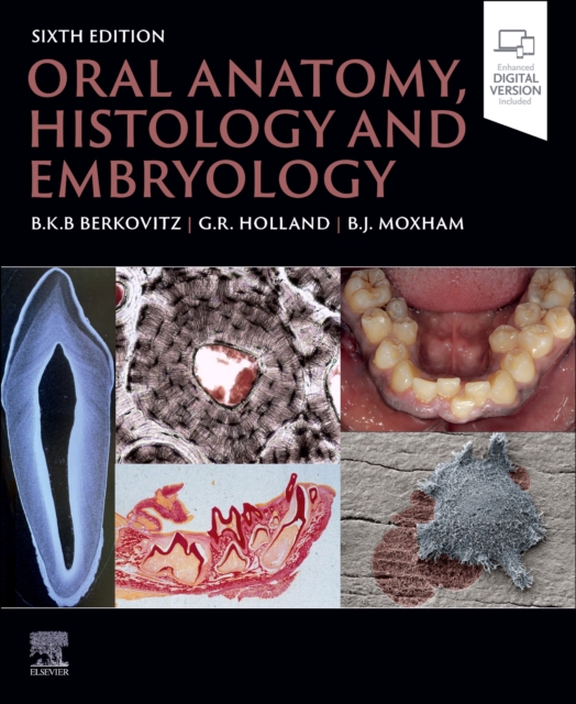 Oral Anatomy, Histology and Embryology, Paperback / softback Book
