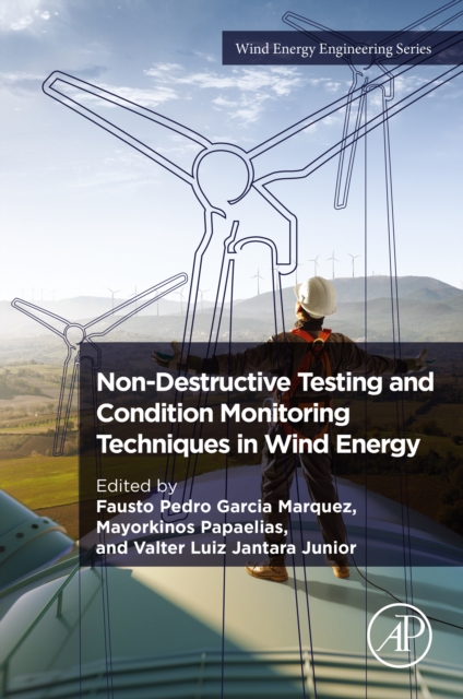 Non-Destructive Testing and Condition Monitoring Techniques in Wind Energy, EPUB eBook