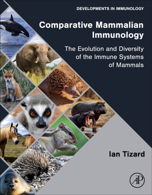 Comparative Mammalian Immunology : The Evolution and Diversity of the Immune Systems of Mammals, Paperback / softback Book