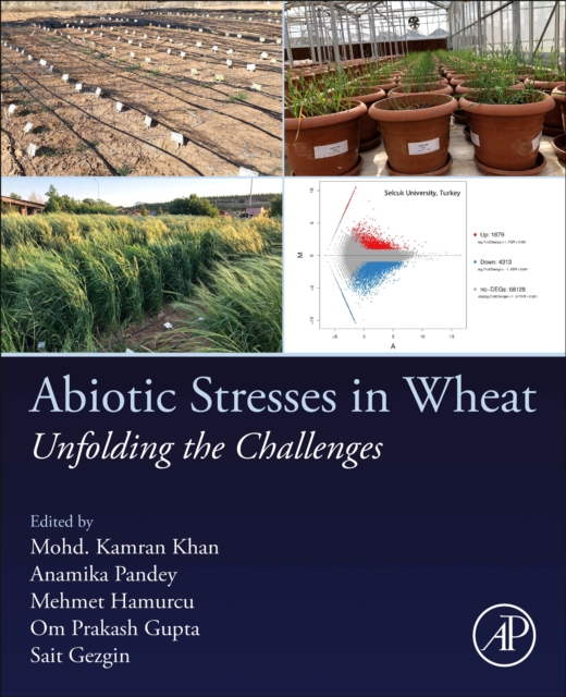 Abiotic Stresses in Wheat : Unfolding the Challenges, Paperback / softback Book