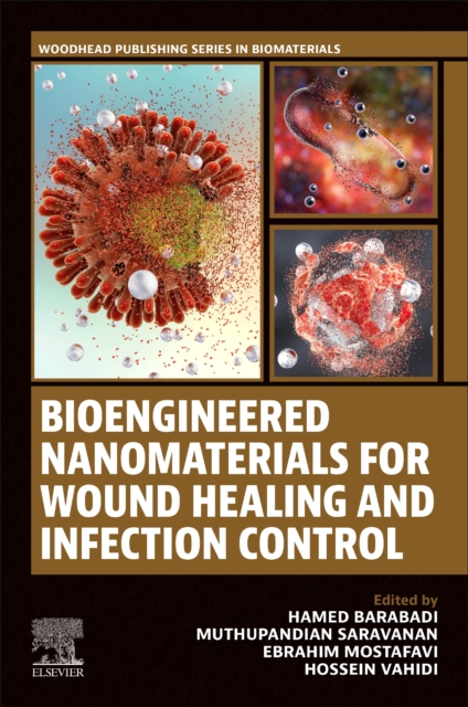 Bioengineered Nanomaterials for Wound Healing and Infection Control, Paperback / softback Book