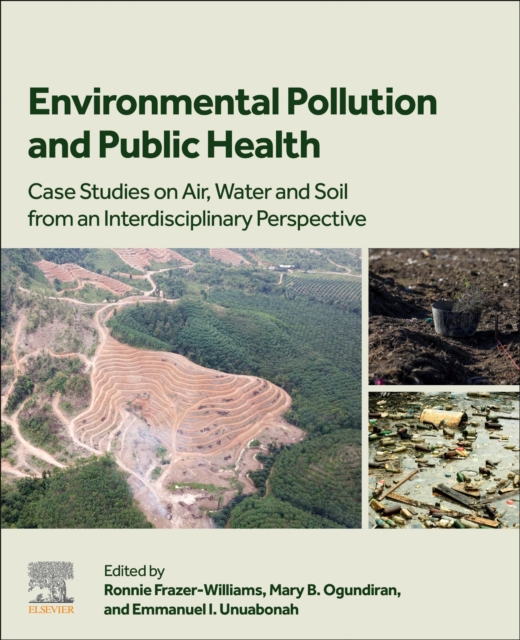 Environmental Pollution and Public Health : Case Studies on Air, Water and Soil from an Interdisciplinary Perspective, Paperback / softback Book