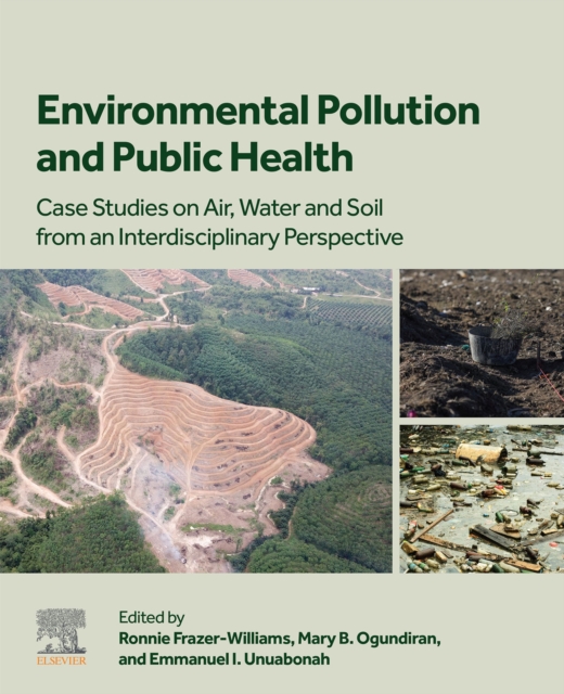 Environmental Pollution and Public Health : Case Studies on Air, Water and Soil from an Interdisciplinary Perspective, EPUB eBook