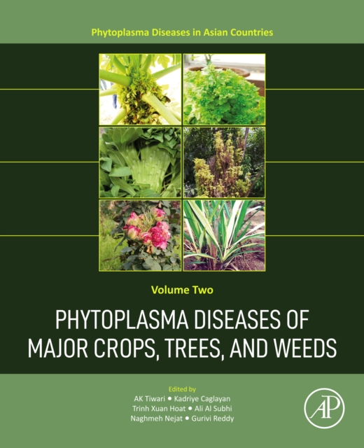 Phytoplasma Diseases of Major Crops, Trees, and Weeds, EPUB eBook