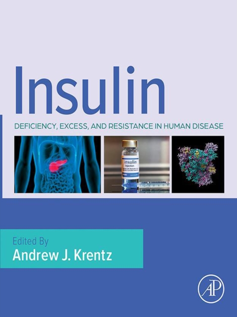 Insulin : Deficiency, Excess and Resistance in Human Disease, EPUB eBook