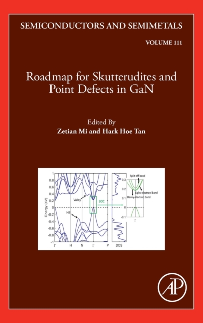 Roadmap for Skutterudites and Point Defects in GaN : Volume 111, Hardback Book