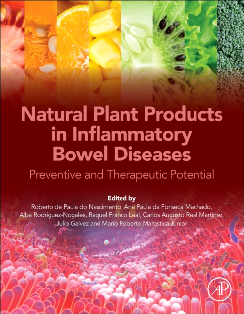 Natural Plant Products in Inflammatory Bowel Diseases : Preventive and Therapeutic Potential, Paperback / softback Book