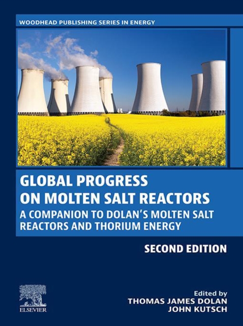 Global Progress on Molten Salt Reactors : A Companion to Dolan's Molten Salt Reactors and Thorium Energy, EPUB eBook