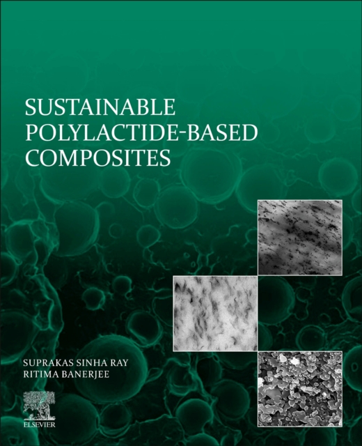 Sustainable Polylactide-Based Composites, Paperback / softback Book