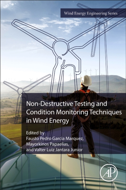 Non-Destructive Testing and Condition Monitoring Techniques in Wind Energy, Paperback / softback Book