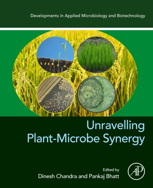 Unravelling Plant-Microbe Synergy, Paperback / softback Book