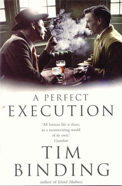 A Perfect Execution, Paperback / softback Book