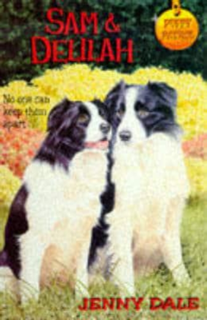 SAM AND DELILAH,  Book