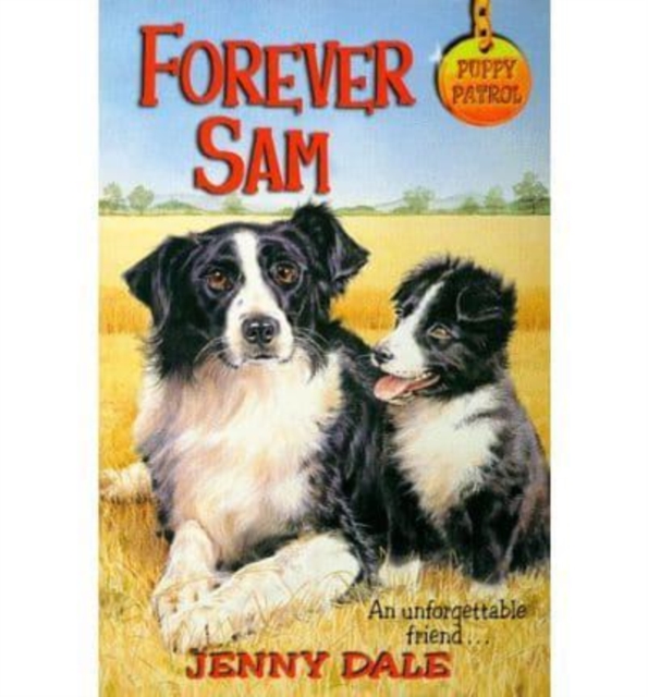 FOREVER SAM,  Book
