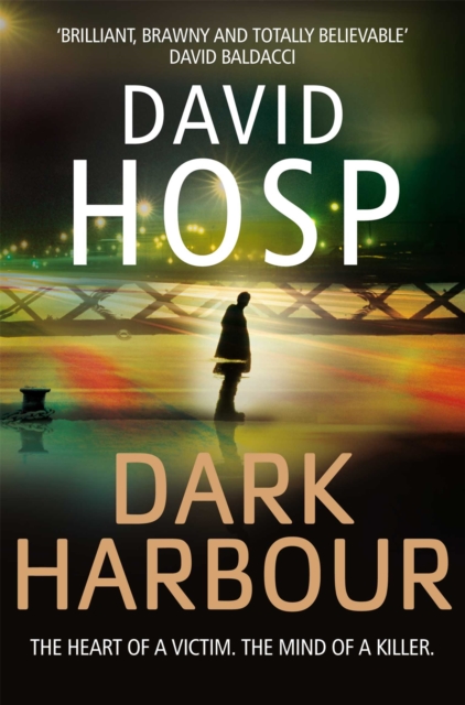 Dark Harbour, Paperback / softback Book